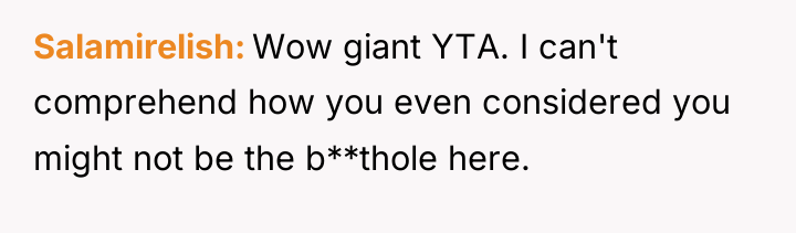 Salamirelish Wow giant YTA. I can't comprehend how you even...