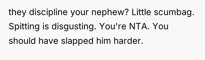 they discipline your nephew? Little scumbag. Spitting is disgusting. You're...