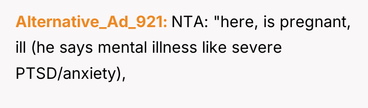 Alternative_Ad_921 NTA: "here, is pregnant, ill (he says mental illness...