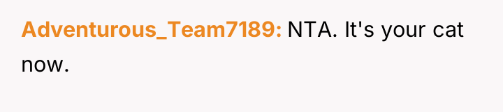 Adventurous_Team7189 NTA. It's your cat now.
