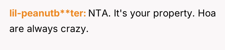 lil-peanutb**ter NTA. It's your property. Hoa are always crazy.