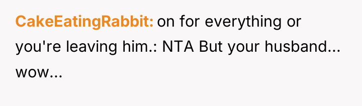 CakeEatingRabbit on for everything or you're leaving him.: NTA But...