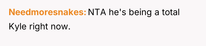 Needmoresnakes NTA he's being a total Kyle right now.