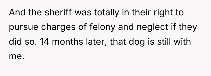 And the sheriff was totally in their right to pursue...