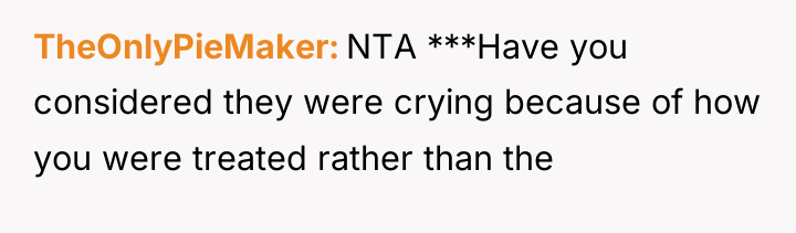 TheOnlyPieMaker NTA ***Have you considered they were crying because of...