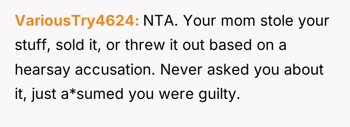 VariousTry4624 NTA. Your mom stole your stuff, sold it, or...