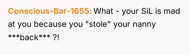 Conscious-Bar-1655 What - your SiL is mad at you because...