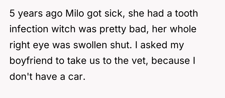 5 years ago Milo got sick, she had a tooth...