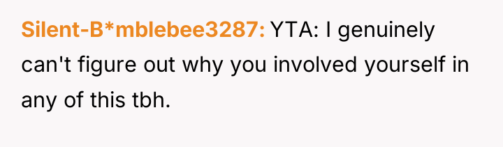 Silent-B*mblebee3287 YTA: I genuinely can't figure out why you involved...