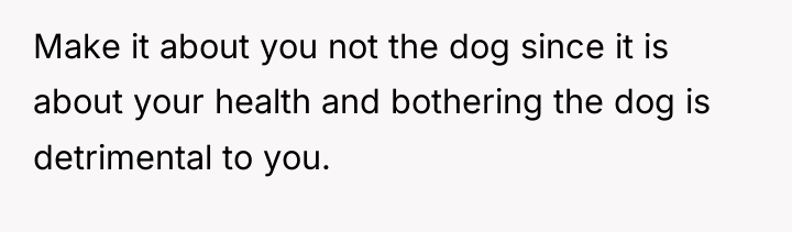 Make it about you not the dog since it is...