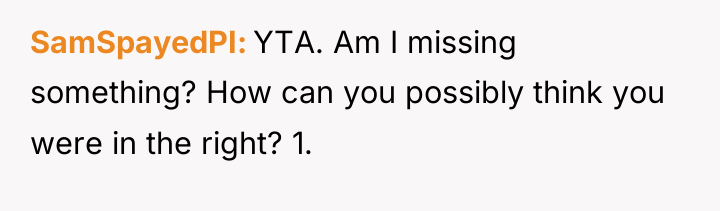 SamSpayedPI YTA. Am I missing something? How can you possibly...