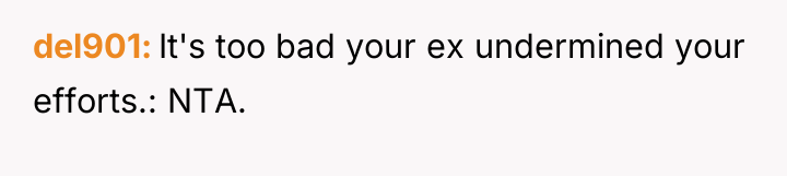 del901 It's too bad your ex undermined your efforts.: NTA.