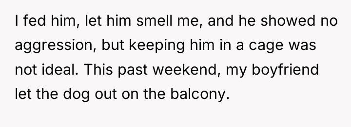I fed him, let him smell me, and he showed...