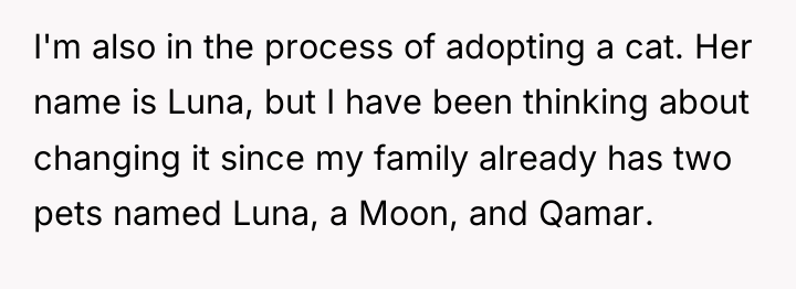 I'm also in the process of adopting a cat. Her...