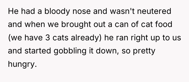 He had a bloody nose and wasn't neutered and when...