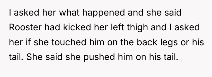 I asked her what happened and she said Rooster had...