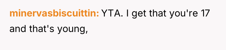 minervasbiscuittin YTA. I get that you're 17 and that's young,