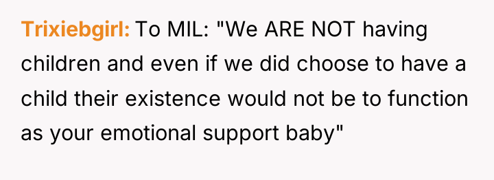 Trixiebgirl To MIL: "We ARE NOT having children and even...