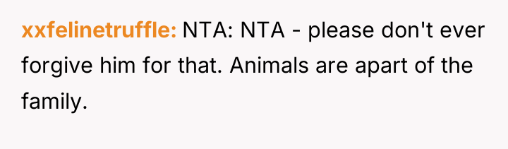 xxfelinetruffle NTA: NTA - please don't ever forgive him for...