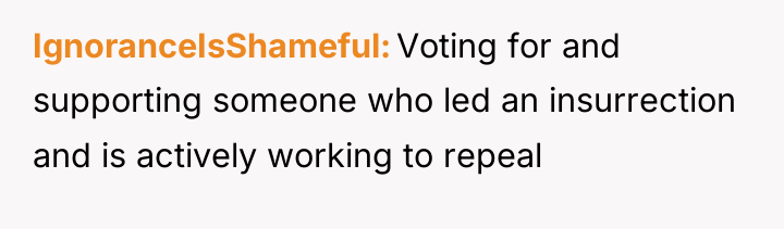 IgnoranceIsShameful Voting for and supporting someone who led an insurrection...