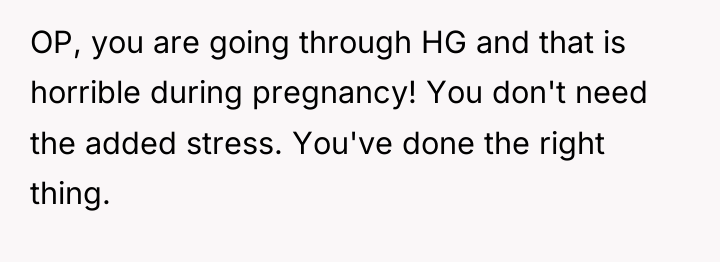 OP, you are going through HG and that is horrible...