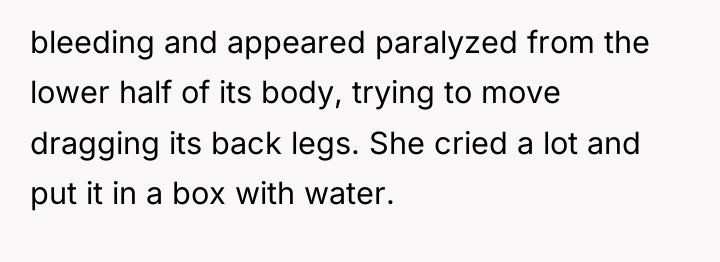 bleeding and appeared paralyzed from the lower half of its...