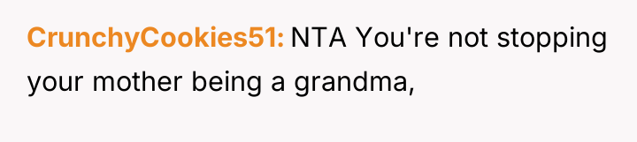 CrunchyCookies51 NTA You're not stopping your mother being a grandma,