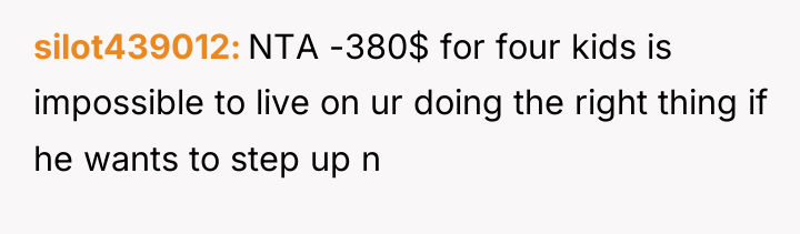 silot439012 NTA -380$ for four kids is impossible to live...
