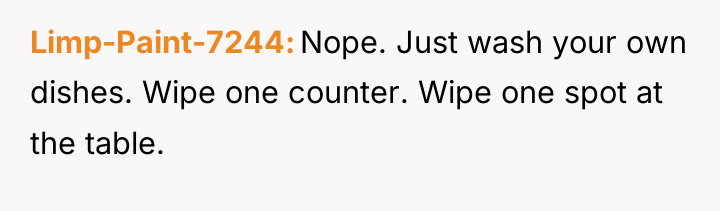 Limp-Paint-7244 Nope. Just wash your own dishes. Wipe one counter....