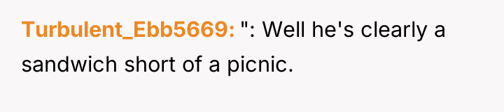 Turbulent_Ebb5669 ": Well he's clearly a sandwich short of a...