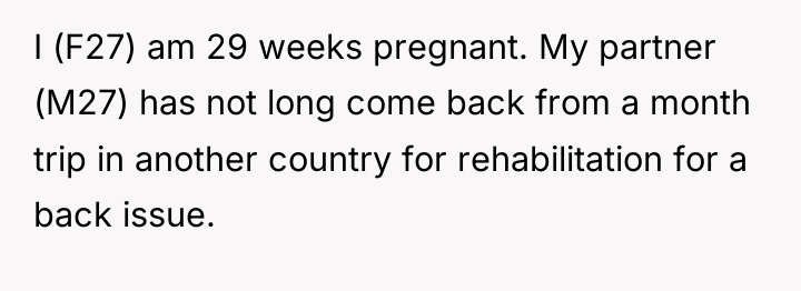 I (F27) am 29 weeks pregnant. My partner (M27) has...