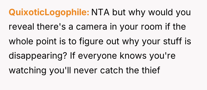 QuixoticLogophile NTA but why would you reveal there's a camera...