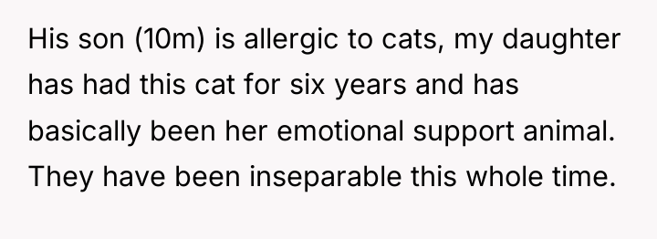 His son (10m) is allergic to cats, my daughter has...