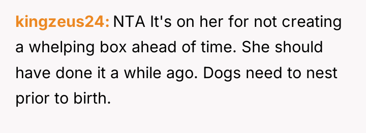 kingzeus24 NTA It's on her for not creating a whelping...