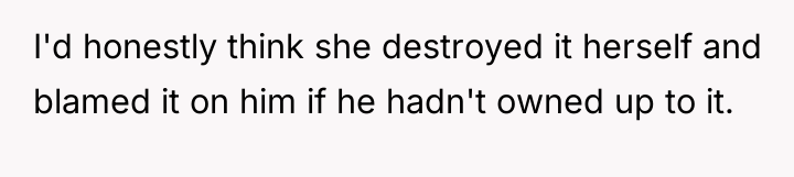 I'd honestly think she destroyed it herself and blamed it...