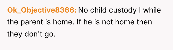 Ok_Objective8366 No child custody I while the parent is home....