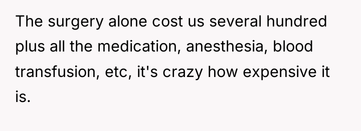 The surgery alone cost us several hundred plus all the...