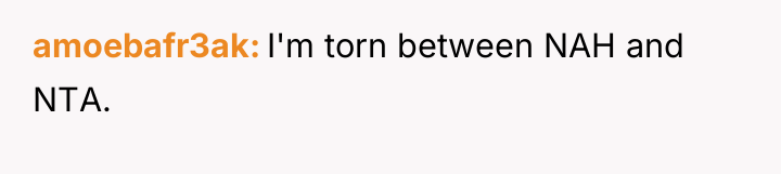 amoebafr3ak I'm torn between NAH and NTA.