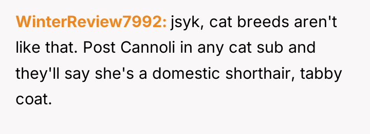 WinterReview7992 jsyk, cat breeds aren't like that. Post Cannoli in...