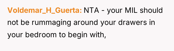 Voldemar_H_Guerta NTA - your MIL should not be rummaging around...