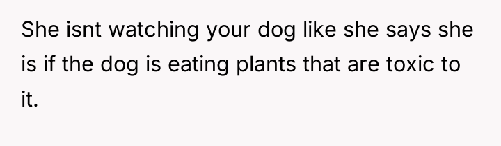 She isnt watching your dog like she says she is...