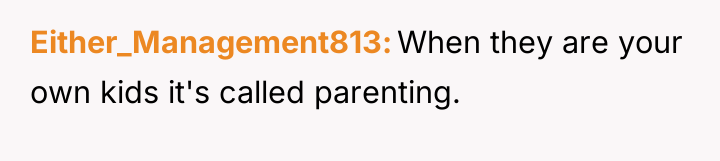 Either_Management813 When they are your own kids it's called parenting.