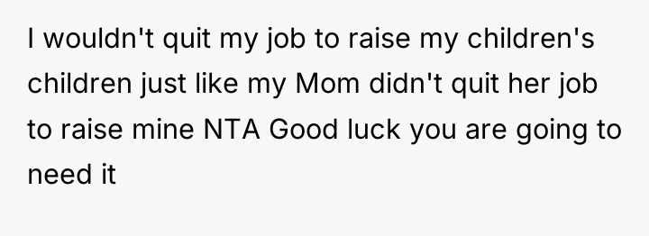 I wouldn't quit my job to raise my children's children...