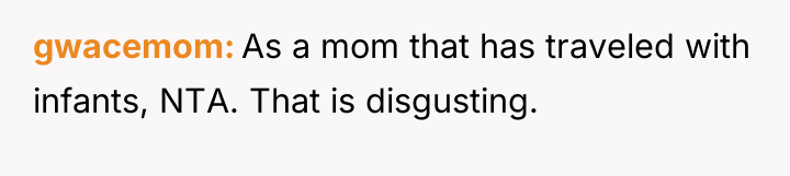 gwacemom As a mom that has traveled with infants, NTA....