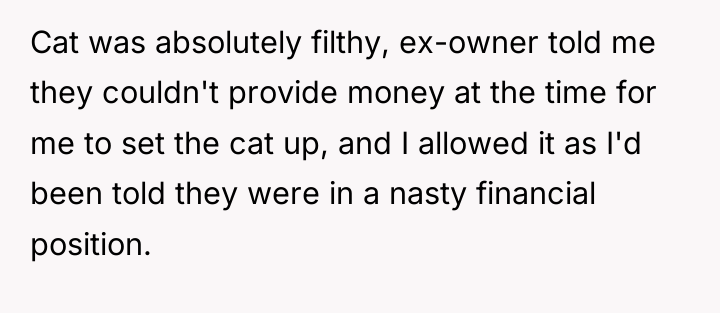 Cat was absolutely filthy, ex-owner told me they couldn't provide...