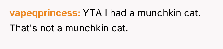 vapeqprincess YTA I had a munchkin cat. That's not a...