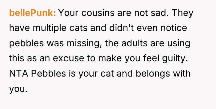 bellePunk Your cousins are not sad. They have multiple cats...