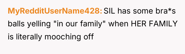 MyRedditUserName428 SIL has some bra*s balls yelling "in our family"...