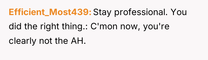 Efficient_Most439 Stay professional. You did the right thing.: C'mon now,...