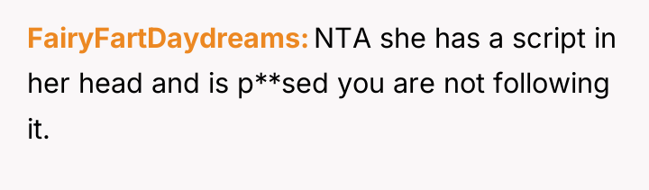 FairyFartDaydreams NTA she has a script in her head and...